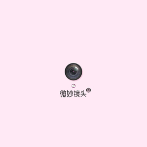 2019日本不卡二区
